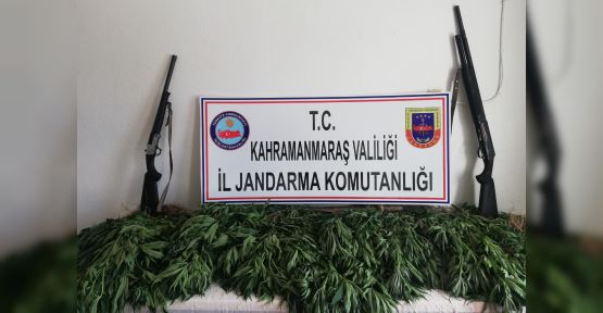 JANDARMAMIZ, YİNE HİNT KENEVİRİ TACİRLERİNE DARBA VURDU!