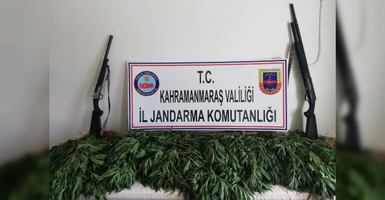 JANDARMAMIZ, YİNE HİNT KENEVİRİ TACİRLERİNE DARBA VURDU!