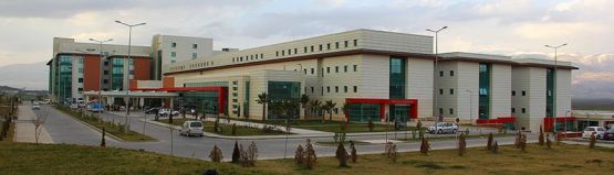 YILIN SAĞLIK KURULUŞU; ŞEHİR HASTANESİ