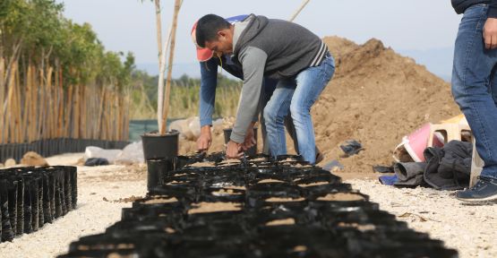 ERDEMLİ ÇİÇEK SERASI YENİLENİYOR