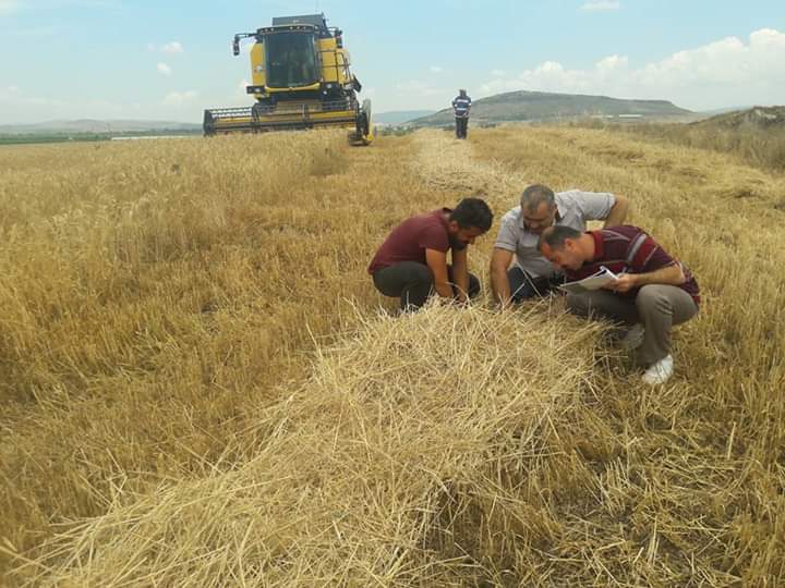 TÜRKOĞLU İLÇE TARIM VE ORMAN MÜDÜRLÜĞÜ FAALİYETLERİ
