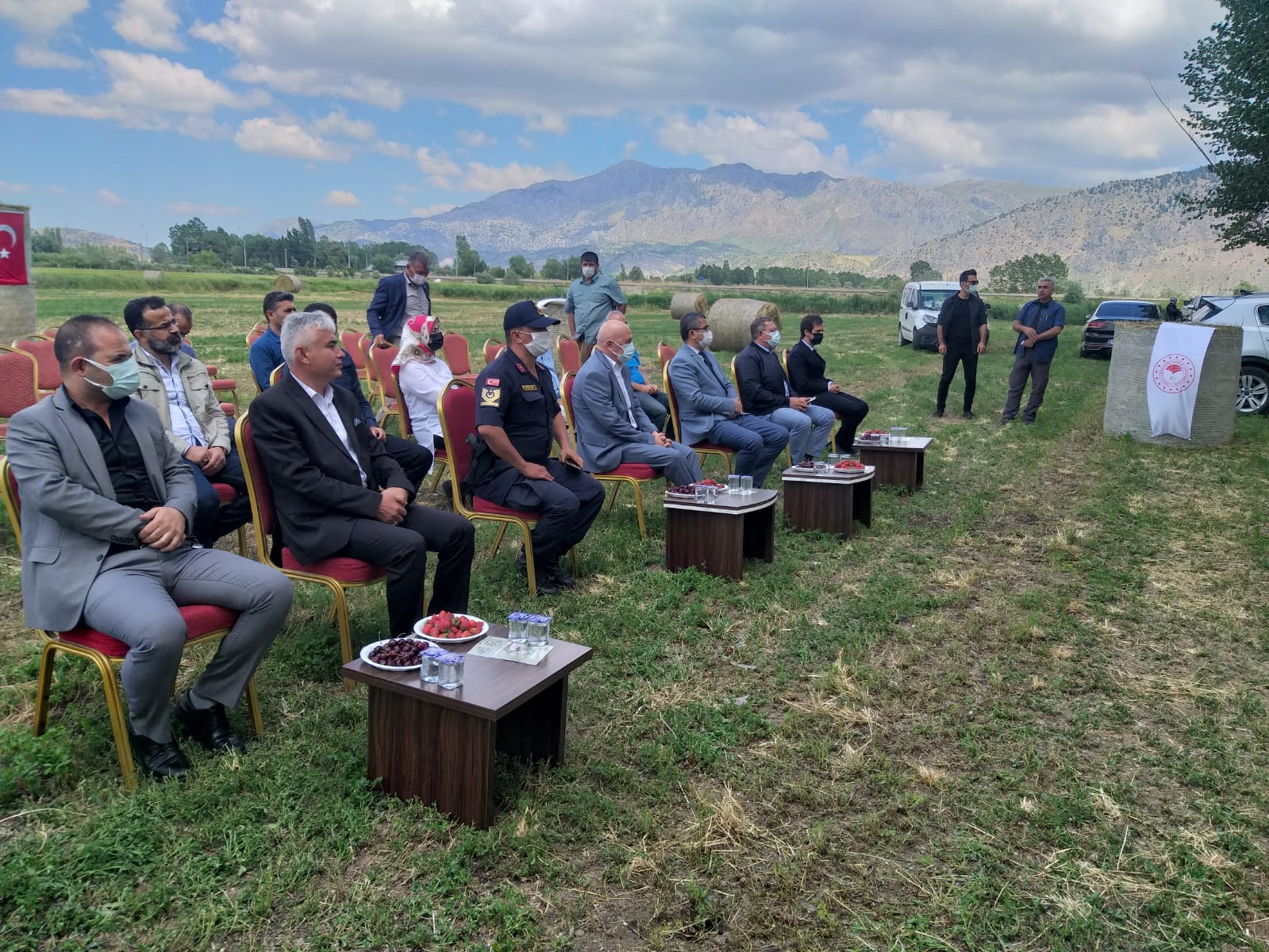 GÖKSUN'DA YEM BEZELYESİ TARLA GÜNÜ