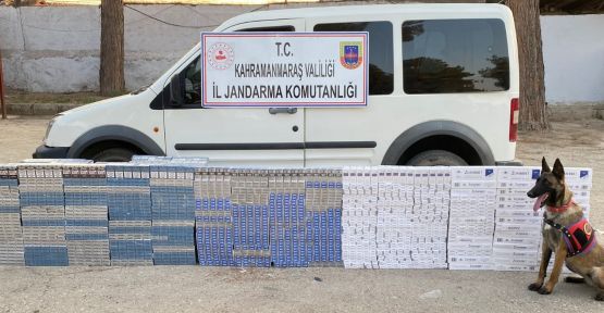 JANDARMA EKİPLERİ SİGARA KAÇAKÇISINI ‘TUŞ’ ETTİ