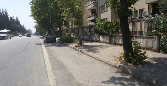 VEE DUBALAR SÖKÜLDÜ...