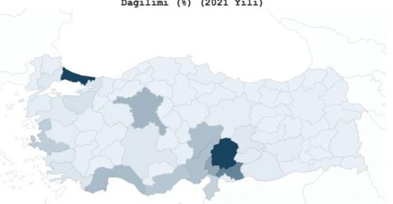 KAHRAMANMARAŞLILAR HANGİ ŞEHİRLERDE YAŞIYOR?