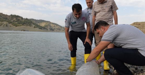 SU KAYNAKLARI BALIKLANDIRILIYOR