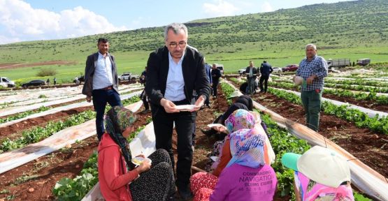 “TÜM SEKTÖRLERİMİZİ AYAĞA KALDIRIYORUZ”