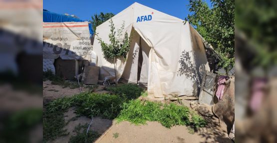 DEPREM ÇADIRINDA UYUŞTURUCU OPERASYONU