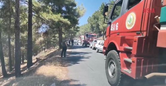 ORMAN YANGINI KONTROL ALTINA ALINDI