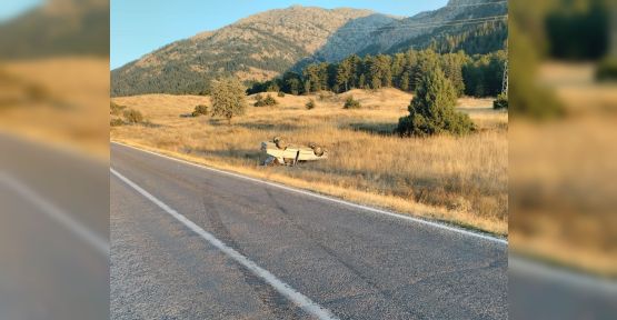 GÖKSUN’DA OTOMOBİL TAKLA ATTI: 2 YARALI