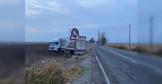 TIR YOLDAN ÇIKTI, TARLAYA SAVRULDU