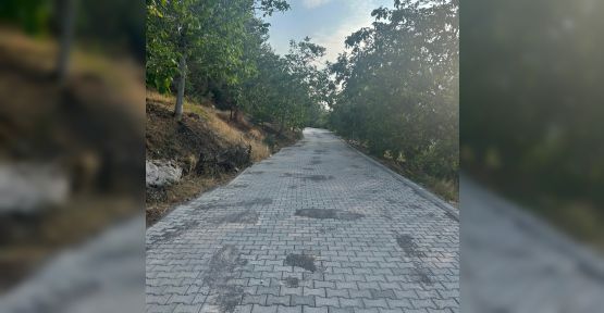 DULKADİROĞLU KIRSALINDA ULAŞIM ATAĞINI