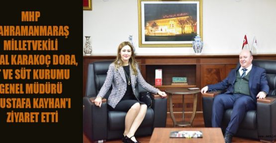 MİLLETVEKİLİ DORA, ŞEHRE YATIRIM İÇİN ÇIRPINIYOR!