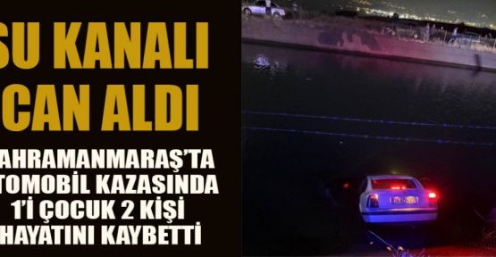 SU KANALINDA 1İ ÇOCUK 2 ÖLÜ