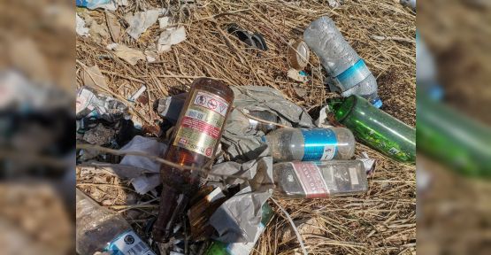 ALKOL ŞİŞELERİYLE DOLU ZEYTİNLİK ALANI