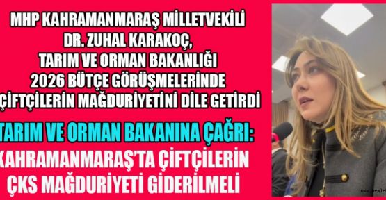 MHP MV.KARAKOÇ: ŞEHRİMİN ÜRETİCİLERİ YALNIZ BIRAKILMASIN!