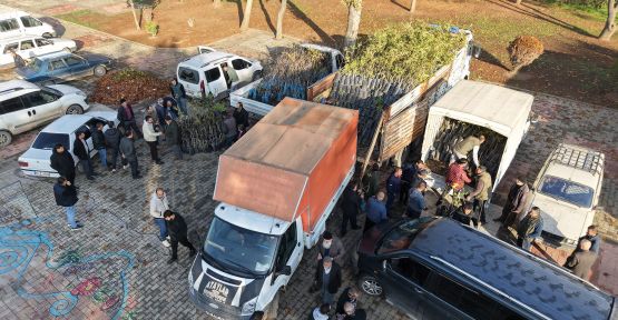 BÜYÜKŞEHİR’DEN 193 BİN ADET FİDAN DESTEĞİ