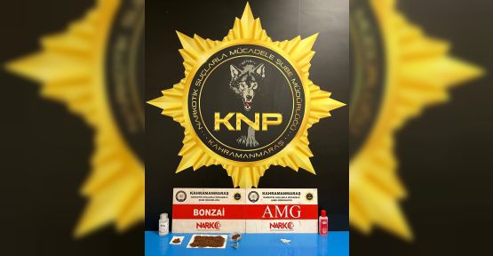 NARKOTİK OPERASYONU: 2 TUTUKLAMA