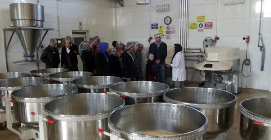 ADIYAMAN MYO KAHRAMANMARAŞ HALK EKMEK’TE