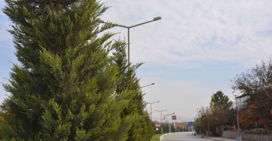 BÜYÜKŞEHİR ELBİSTAN’DA REFÜJLERİ DÜZENLEDİ