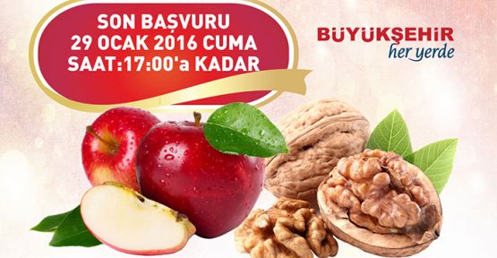 BÜYÜKŞEHİR’DEN KUZEY İLÇELERİNE FİDAN DESTEĞİ