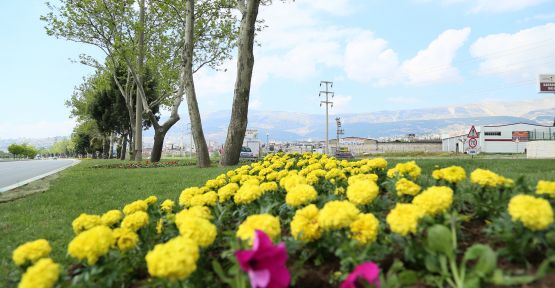 BÜYÜKŞEHİR’DEN MEVSİMLİK ÇİCEK DİKİMİ