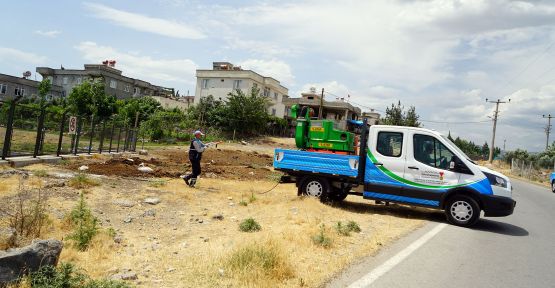 BÜYÜKŞEHİR’İN LARVA MÜCADELESİ DEVAM EDİYOR