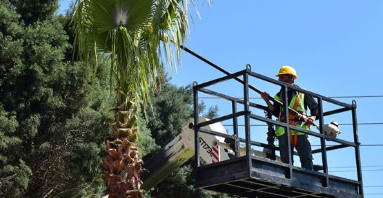 DULKADİROĞLU BAHARA HAZIRLANIYOR