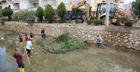 ERDEMLİ BELEDİYESİNDEN KANAL TEMİZLİĞİ