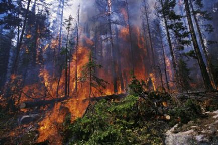 Kahramanmaraş'ta Dev Orman Yangını
