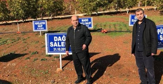 MADO, KENDİ SALEBİNİ KENDİ ÜRETİYOR