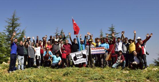 MARAŞ FOTO SAFARİ: ULUDAZ UĞUR BÖCEKLERİ