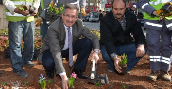 SÜMBÜLLER TOPRAKLA BULUŞTU