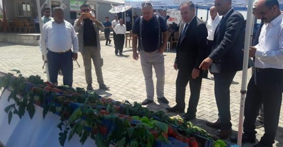 TARIMSAL KALKINMA İLE BÖLGEYE ÖRNEK OLACAKLAR