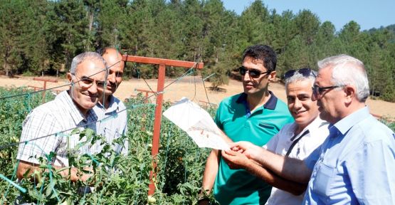 TARIMSAL YENİLİKLERİN YAYGINLAŞTIRILMASI YAYIM PROJELERİ DEVAM EDİYOR 