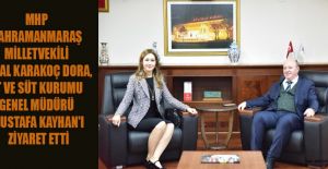 MİLLETVEKİLİ DORA, ŞEHRE YATIRIM İÇİN ÇIRPINIYOR!