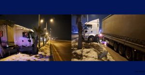 TIR KONTROLDEN ÇIKTI, AĞACA ÇARPTI