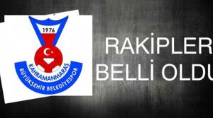 BELEDİYESPOR 2. GRUBA DÜŞTÜ