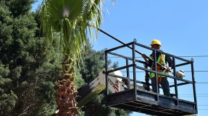 DULKADİROĞLU BAHARA HAZIRLANIYOR