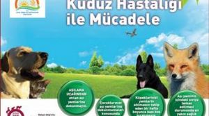 KUDUZ MÜCADELESİNDE HAVADAN AŞILAMA PROJESİ