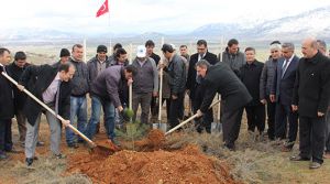  MİLLİ ATICI ADINA HATIRA ORMANI KURULDU